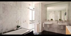 The Colonnade (D10), Condominium #519034471